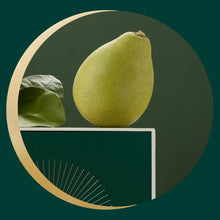 將圖片載入圖庫檢視器 【台南麻豆產】老欉文旦