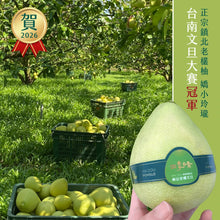 將圖片載入圖庫檢視器 【台南麻豆產】老欉文旦
